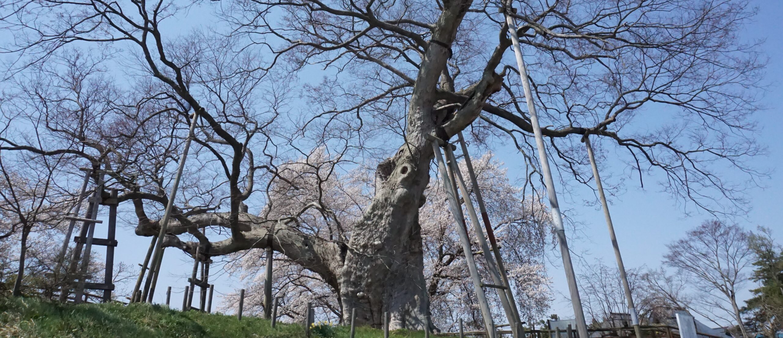 悲報 会津若松市のデュオタウン 次に建設されるのはホームセンター わたぱぷの会津満喫ブログ