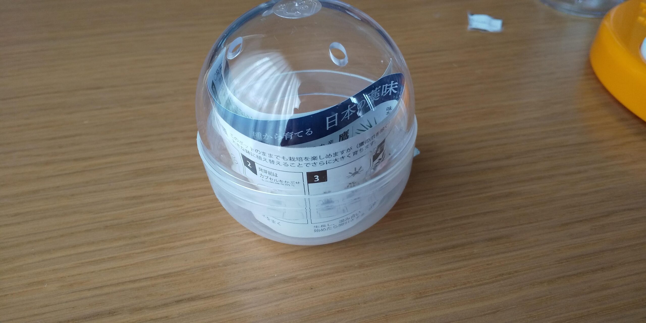 インテリア 観葉植物をガチャガチャで買う時代 わたぱぷの会津満喫ブログ